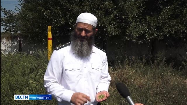 Опасное время для аллергиков смотреть онлайн