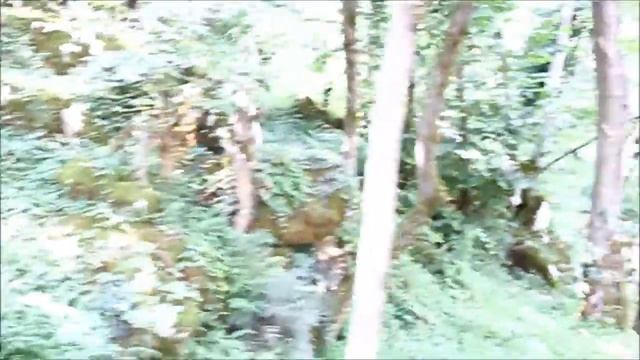Заповедник Сатаплия смотреть онлайн