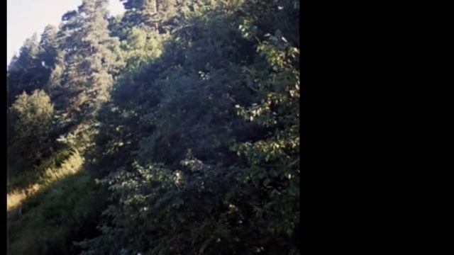 Отдых на курорте "Дорохово" смотреть онлайн