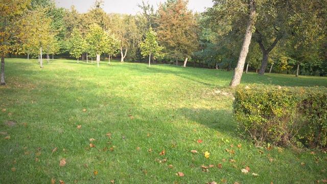 Восень смотреть онлайн