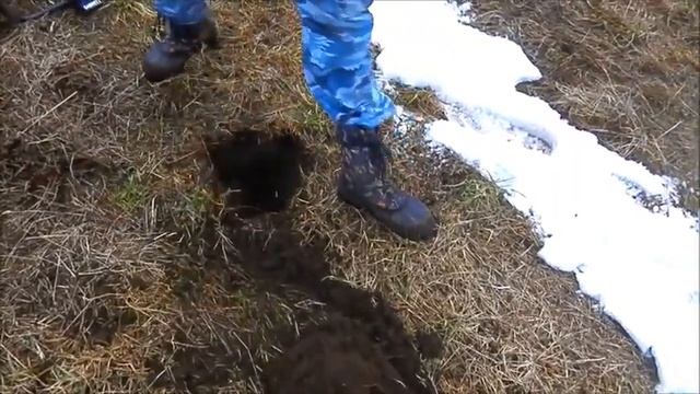 КЛАДЫ КАРЕЛИИ!!! ЗОЛОТАЯ ПУГОВИЦА!!! ПЕРВЫЙ КОП СЕЗОНА 2016 смотреть онлайн