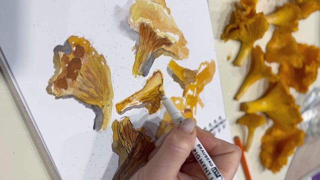 Рисую скетч.