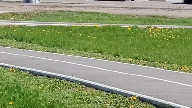 Тест камеры Samsung S 20 FE после обновления до One Ui 4.1 в 4 к 30 к/с смотреть онлайн