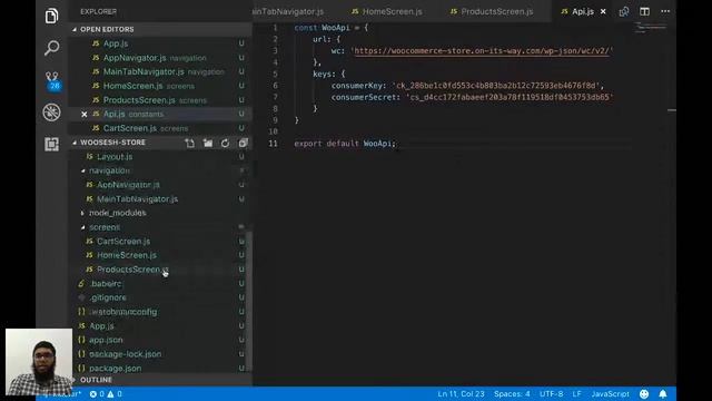 Creating a WooCommerce Mobile App with React Native – WooSesh 2018 смотреть онлайн