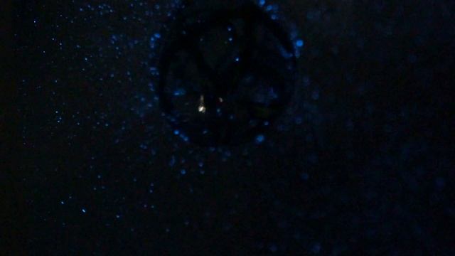 A Bioluminescent Pool Exhibit - Glowing algae (phytoplankton) generates natural light at night смотреть онлайн