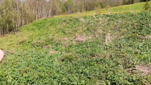 Сплав по Кубене май смотреть онлайн