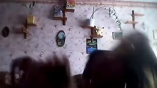 Танцуем буги буги поворачиваем круги смотреть онлайн