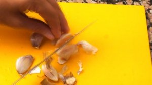 Моллюски, морские черенки, навахас