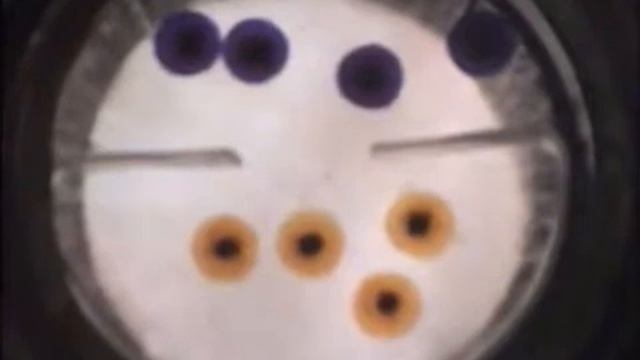 Модель диффузии смотреть онлайн
