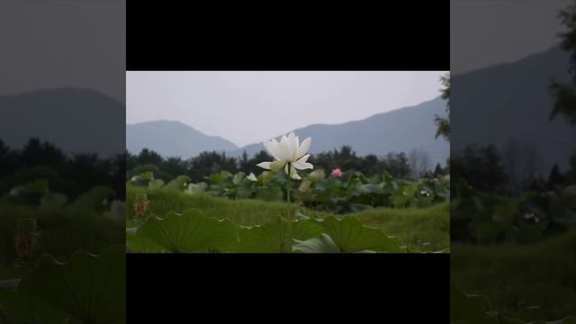 ?Сильнейшая мантра защиты и помощи смотреть онлайн