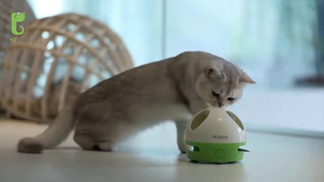 Игрушка для Котов Petgeek Hiding Mouse "Прячущаяся мышь" с Звуковым Эффектом смотреть онлайн