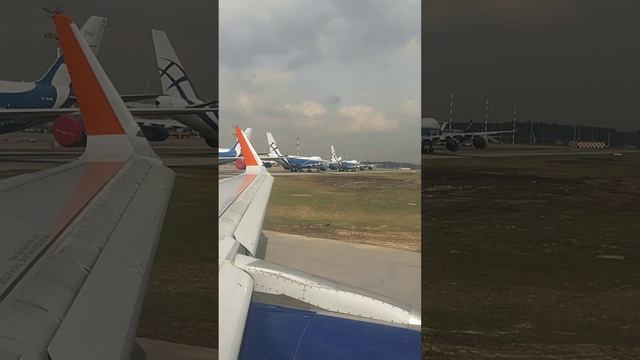 Полетели вместе