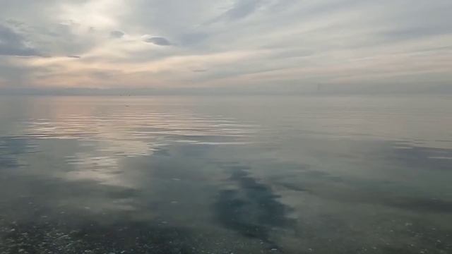 Расцарапанное небо и линейные облака- это "нормально", но почему тогда птицы падают замертво? смотреть онлайн