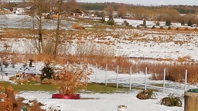 Колокольный звон 