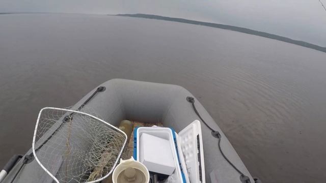 Колбасим окуней на Воткинском водохранилище(река Кама) смотреть онлайн