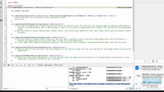 Xcode Tips - How to Find The Detailed Error Message For Your App Crash смотреть онлайн