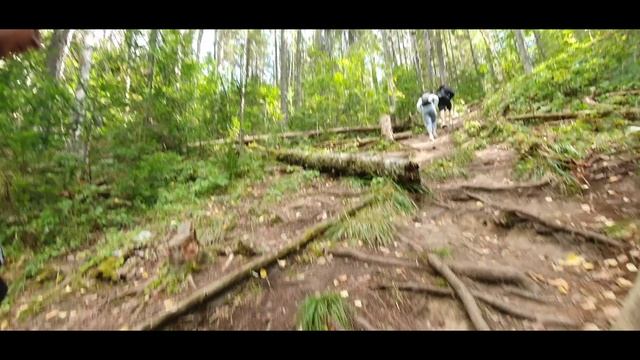 ступеньки