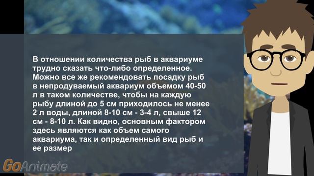 Сколько рыб можно содержать в аквариуме смотреть онлайн