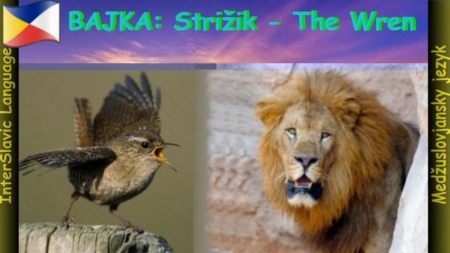 Fairy tales: The Wren │BAJKA: Strižik │БАЙКА: Стрижик │InterSlavic Language │Medžuslovjansky jezyk смотреть онлайн