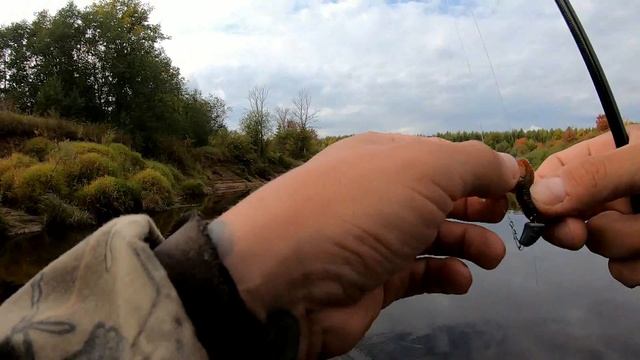 Двухдневная рыбалка на реке Пижма. День второй. смотреть онлайн