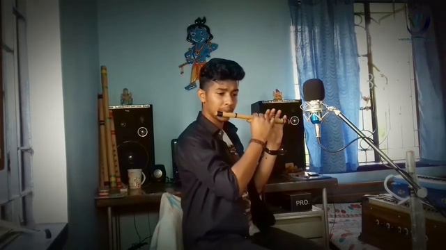 Melodies Flute Music by Ron || Titanic || смотреть онлайн