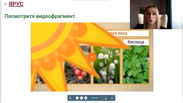 Рудая Ирина Николаевна. Фрагмент урока "Окружающий мир". смотреть онлайн