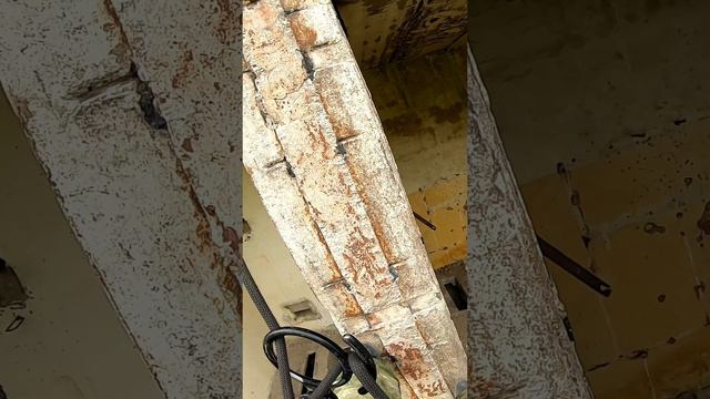 Моя первая альпуха смотреть онлайн