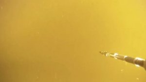 Подводная охота. Лазерный прицел - День .