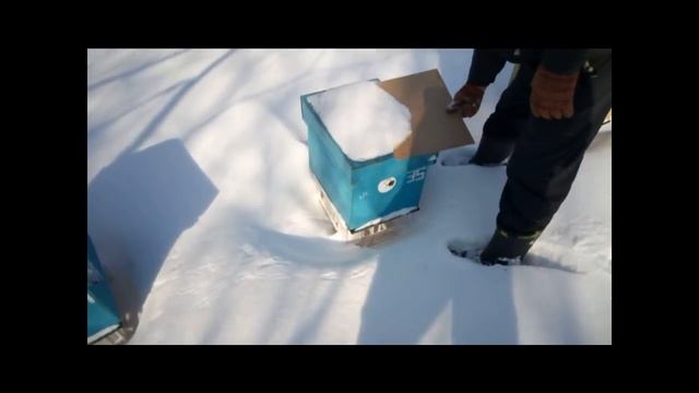 ульи из фанеры 2.03.02018 смотреть онлайн