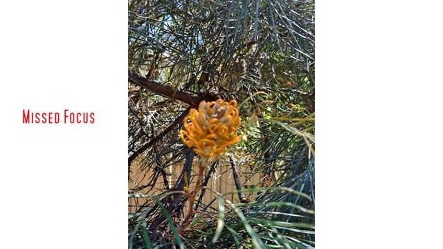 Close to flagship experience at half the price - Samsung Galaxy A53 Mobile phone review смотреть онлайн