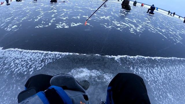 Первый лед 2022-2023!!Ловля окуня на балансир!Ладожское озеро.Черное!#fishing #первыйлед #окунь смотреть онлайн