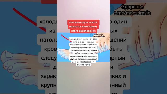 холодные руки и ноги являются признаком этого заболевания #народнаямедицина #здоровье смотреть онлайн