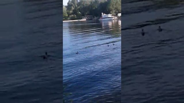 Озеро в строгино смотреть онлайн