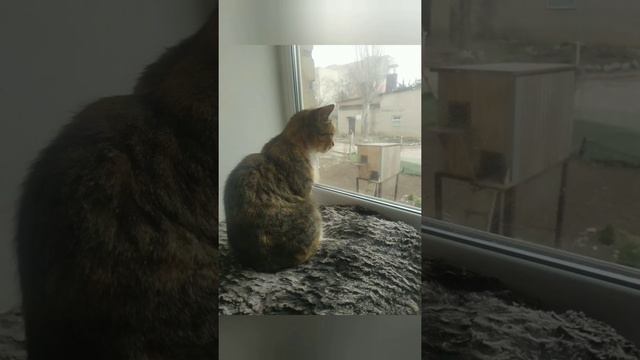 самые милые и красивые фото (сделаны 1 апреля) смотреть онлайн