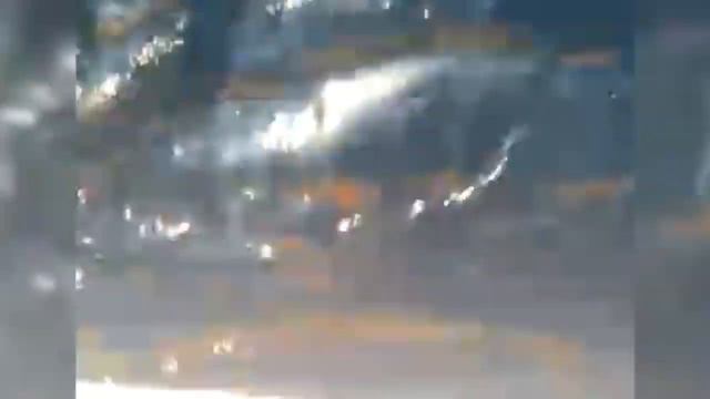 #ловля #акул в #японсом #море смотреть онлайн