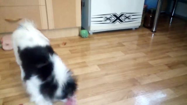 Йоширо 06.06.2016 4 месяца ровно смотреть онлайн