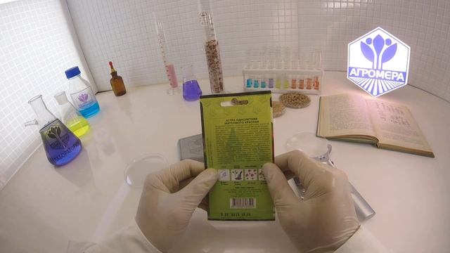 Астра Матсумото красная. Евро-Семена