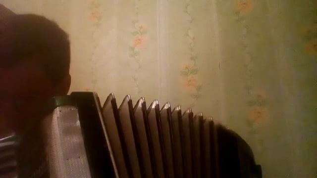 Темная ночь На аккордеоне смотреть онлайн