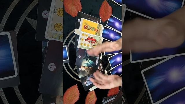 Отношения и финансы на эту осень // Соня Таро для мужчин \\