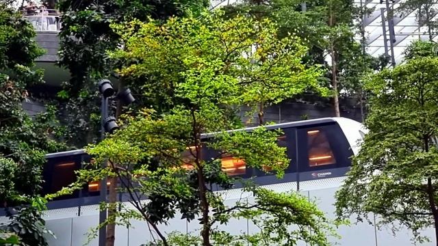 Singapore City Tour 2023 | Jewel Changi Airport Tour