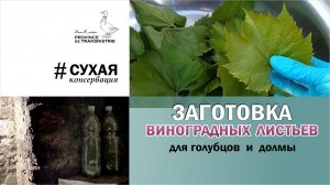 Как заготовить виноградные листья для голубцов и долмы? Легкий (сухой) способ заготовки листьев