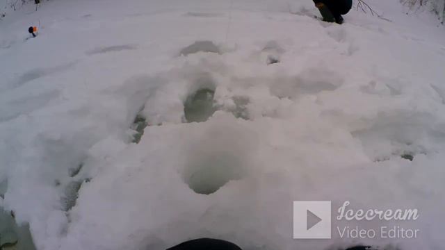 ЭТА рыба ГНЕТ кивки и обрывает МОРМЫШКИ ! Рыбалка на мормышку. Рыбалка на жерлицы. смотреть онлайн