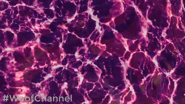 Воспитание детей. Как развить личность ребенка #WoofChannel смотреть онлайн