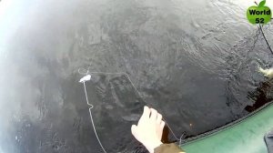 Ловля леща на подпуск с лодки