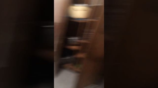 как готовят пюре в армии!) готовка ужина!) смотреть онлайн