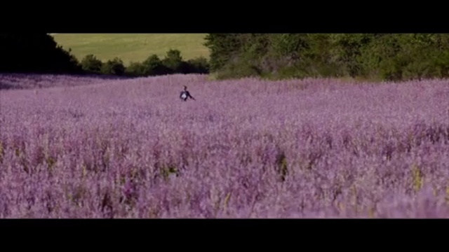 LE GOÛT DES MERVEILLES/-Virginie Efira et Benjamin Lavernhe--Pure People-12 décembre 2015 смотреть онлайн