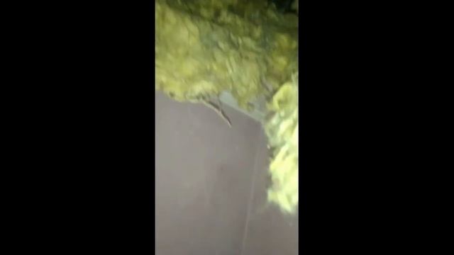 Неожиданные находки при ремонте потолка в коридоре часть 1 смотреть онлайн