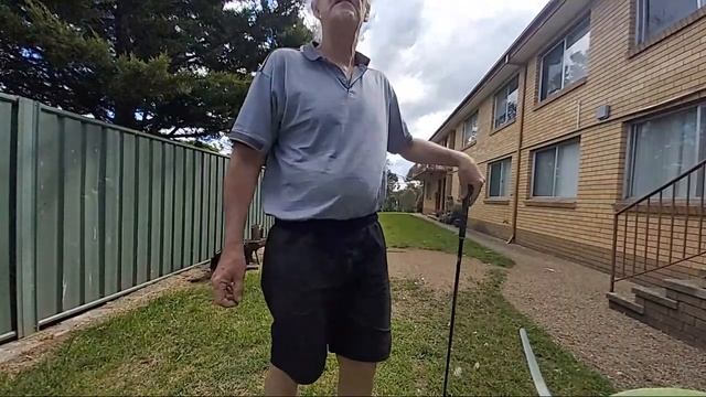 The M.A.G.A In Action ⛳️ The Manley Assisted Golf Aid?? смотреть онлайн