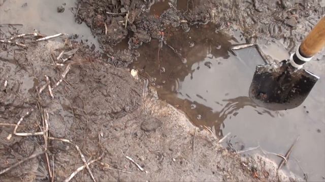 ПОИСК МОНЕТ И КЛАДОВ ГОВОРЯТ ЗДЕСЬ БЫЛ ТРАКТИР ПРОВЕРЯЕМ THE RESTAURANT SCENE смотреть онлайн