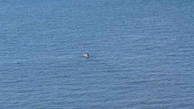 Hill at Herne Bay - Panasonic Lumix DMC-FZ38 смотреть онлайн